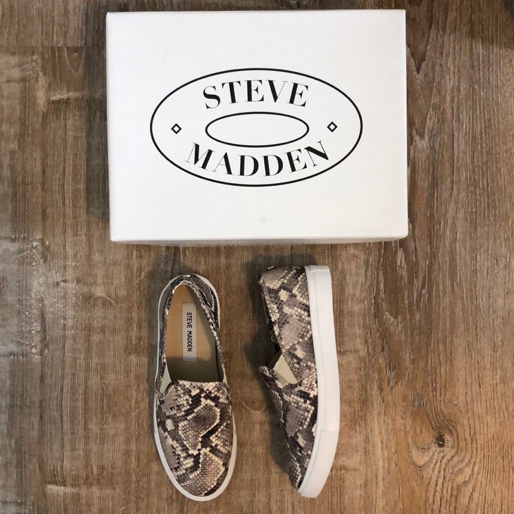 Steve Madden | Snake Safary Slip on Sneaker
